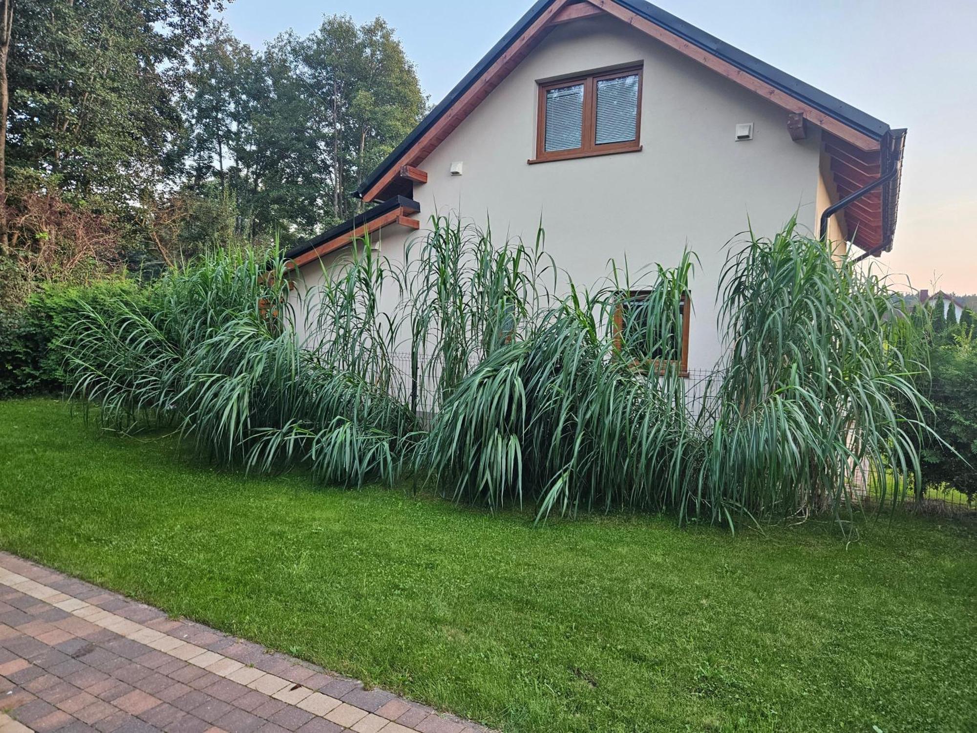Willa Osada Cztery Pory Roku -Dom Lato Kopalino Zewnętrze zdjęcie